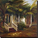 La Casa Sotto Le Palme