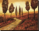 Strada Tra I Papaveri