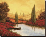 Silenzio Tra I Cipressi