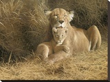 A Mother's Pride