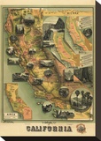 The Unique Map of California  c1885