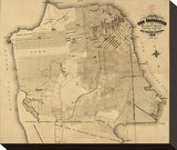 San Francisco  California  c1873