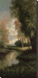 Tranquility Path II