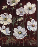 California Cosmos