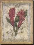 Red Ginger