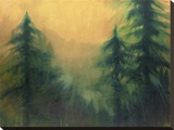 Dawn On The Ridge