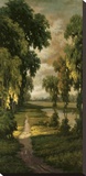 Tranquility Path I