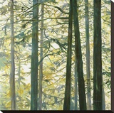 Trees in Fog I