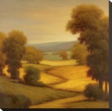 Amber Outlook I