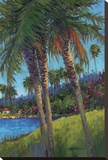 Palm Trees
