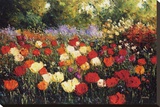Summer Blooms
