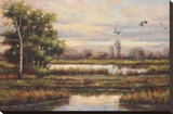 Marshland