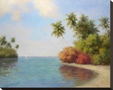 Coco De La Playa