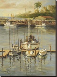 Bahama Harbor