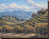 Vineyard Village