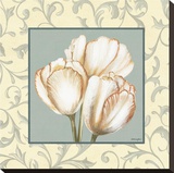 Tulips With Scroll