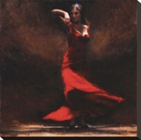 Passion of Flamenco