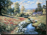 An English Cottage Garden