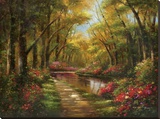Enchanted Creek I