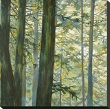 Trees in Fog II