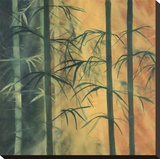 Bamboo Groove I