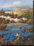 Villagio Blu
