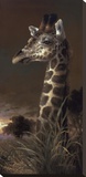 The Graceful One
