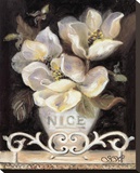 Magnolias of Nice