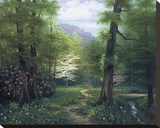 Secluded Path