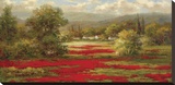 Poppy Village