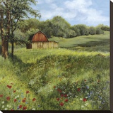Flower Field