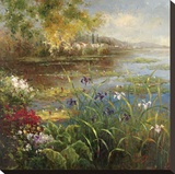Village Pond