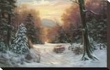 Snow Covered Morning