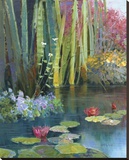 Lilies Adorning The Pond