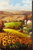Italian Countryside