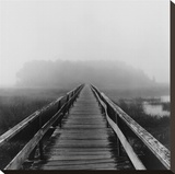 Misty Walk  Cape Cod