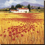 Poppies