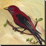 Bird VIII