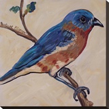 Bird XII