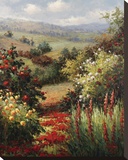 Rich Blooms of Spring