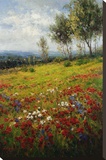 Wildflowers
