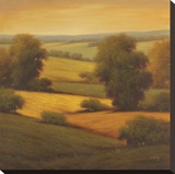 Amber Outlook II