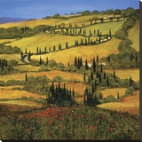 The Valley