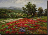 Meadow of Wildflower