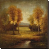 Light and Gold Stream