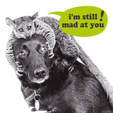 I'M Still Mad At You!