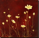 Flores en el Campo II