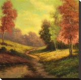 Forest Path at Sundown
