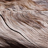 Driftwood Waves I
