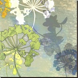 Wildflower Textures